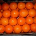 oranges-03